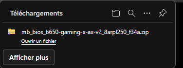 Puis télécharge le fichier contenant le BIOS